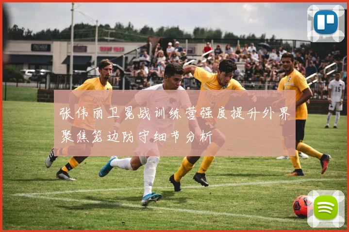 张伟丽卫冕战训练营强度提升外界聚焦笼边防守细节分析