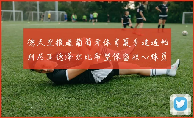 德天空报道葡萄牙体育夏季追逐帕利尼亚德泽尔比希望保留核心球员