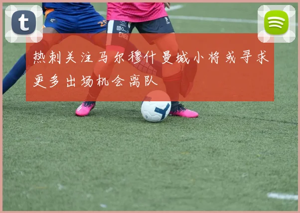 热刺关注马尔穆什曼城小将或寻求更多出场机会离队